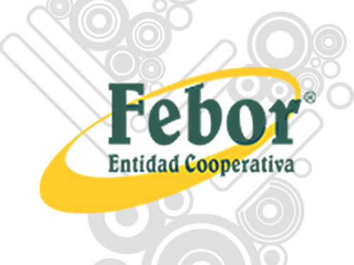 Logo Febor